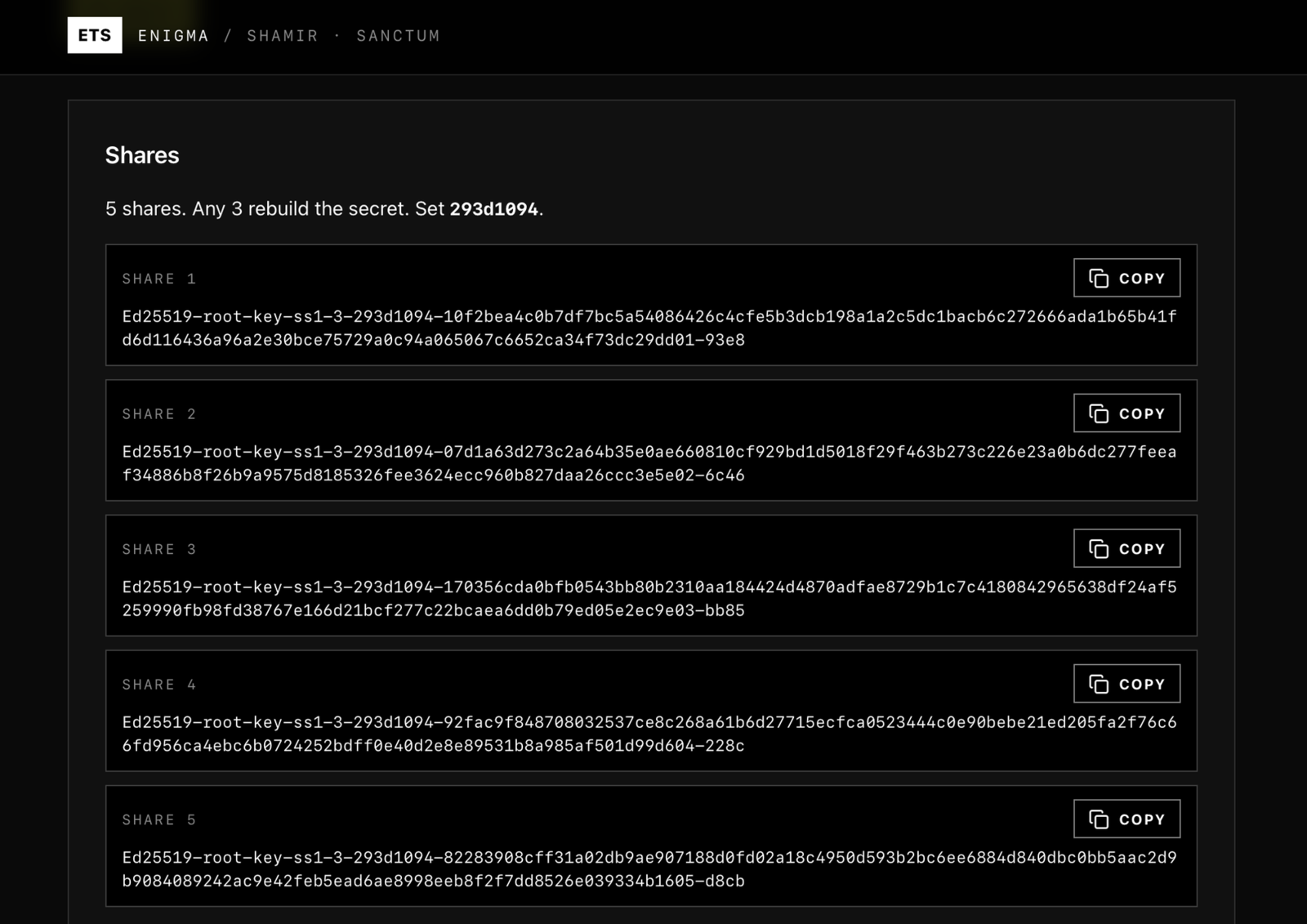 The shares produced, each with a Copy button and the set identifier.